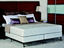 Sealy Keswick Contract  Bed with Base Options