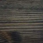 Charcoal - Lacquer