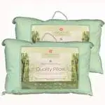 Pair of Bamboo pillows