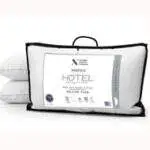 Pair of Norfolk feather & down pillows