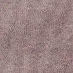 Victoria Lilac