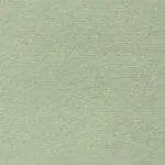 Plush Sage Green