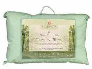 Lancashire Textiles Natural Bamboo Pillow