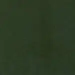 Bottle Green 0404