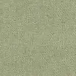 Sage 0433