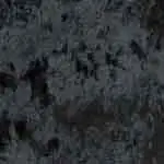 Shimmer Black