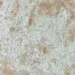 Shimmer Pearl