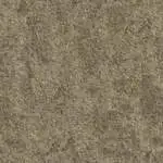 Daytona Stone