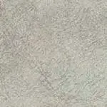 Dapple Silver