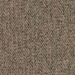 Tweed Coffee