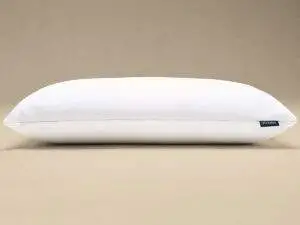 Hypnos Hi Profile Latex Pillow New