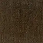 Vogue Brown
