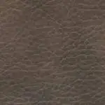 Stetson Vinyl Tan 1005