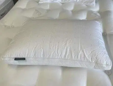 Loren Williams Latex Pocket Pillow