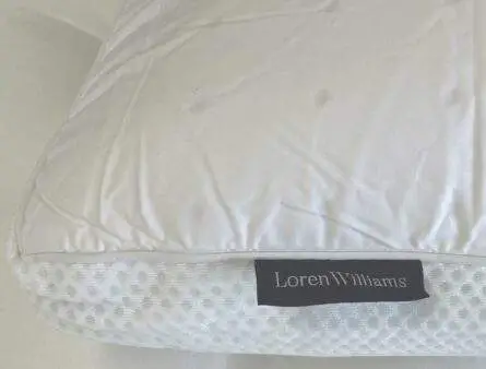 Loren Williams Latex Pocket Pillow
