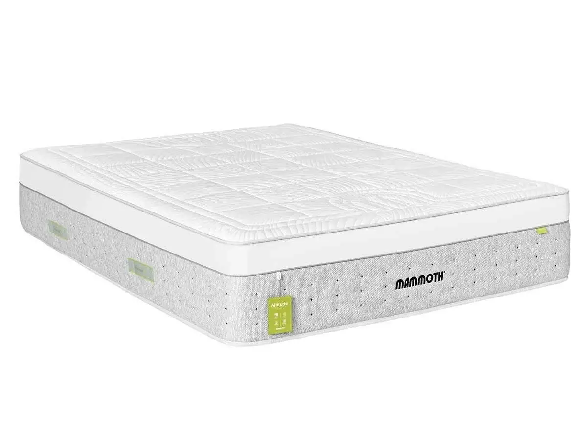 new-arora-2