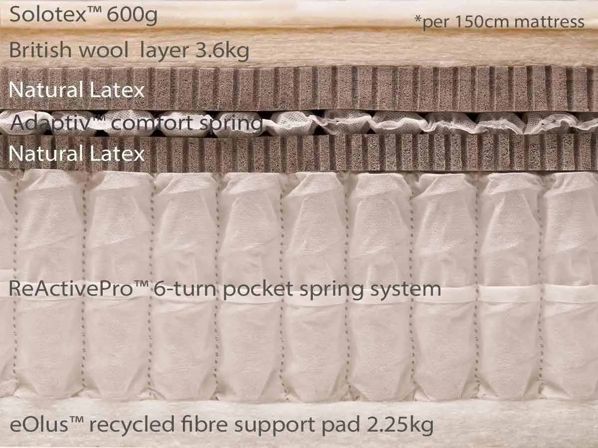 21_Pillow-top-elite--cutthrough