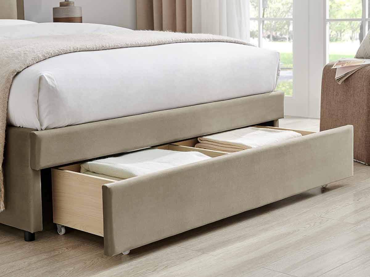 Ursa-Taupe-2