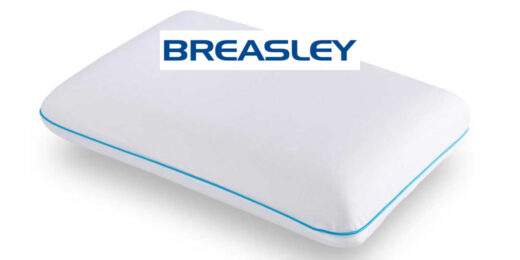 brand-images-breasley-pillow