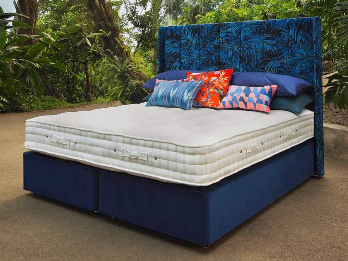 Rainforest_bed