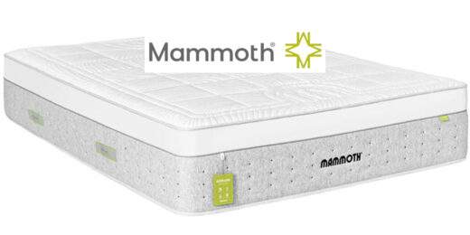 mammoth-mattress---image