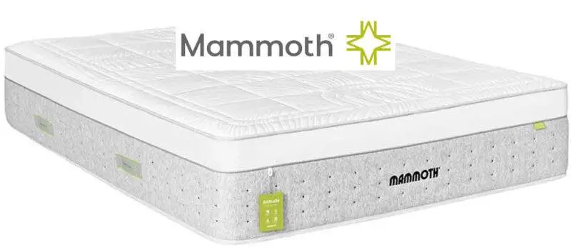 mammoth-mattress---image