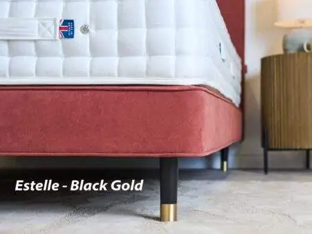 shallow-base-estelle-black-gold