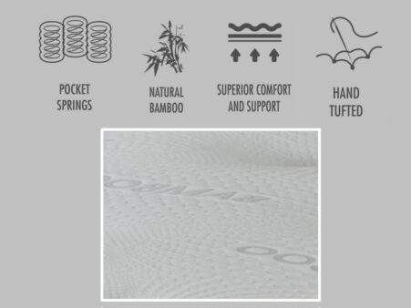 bamboo-info