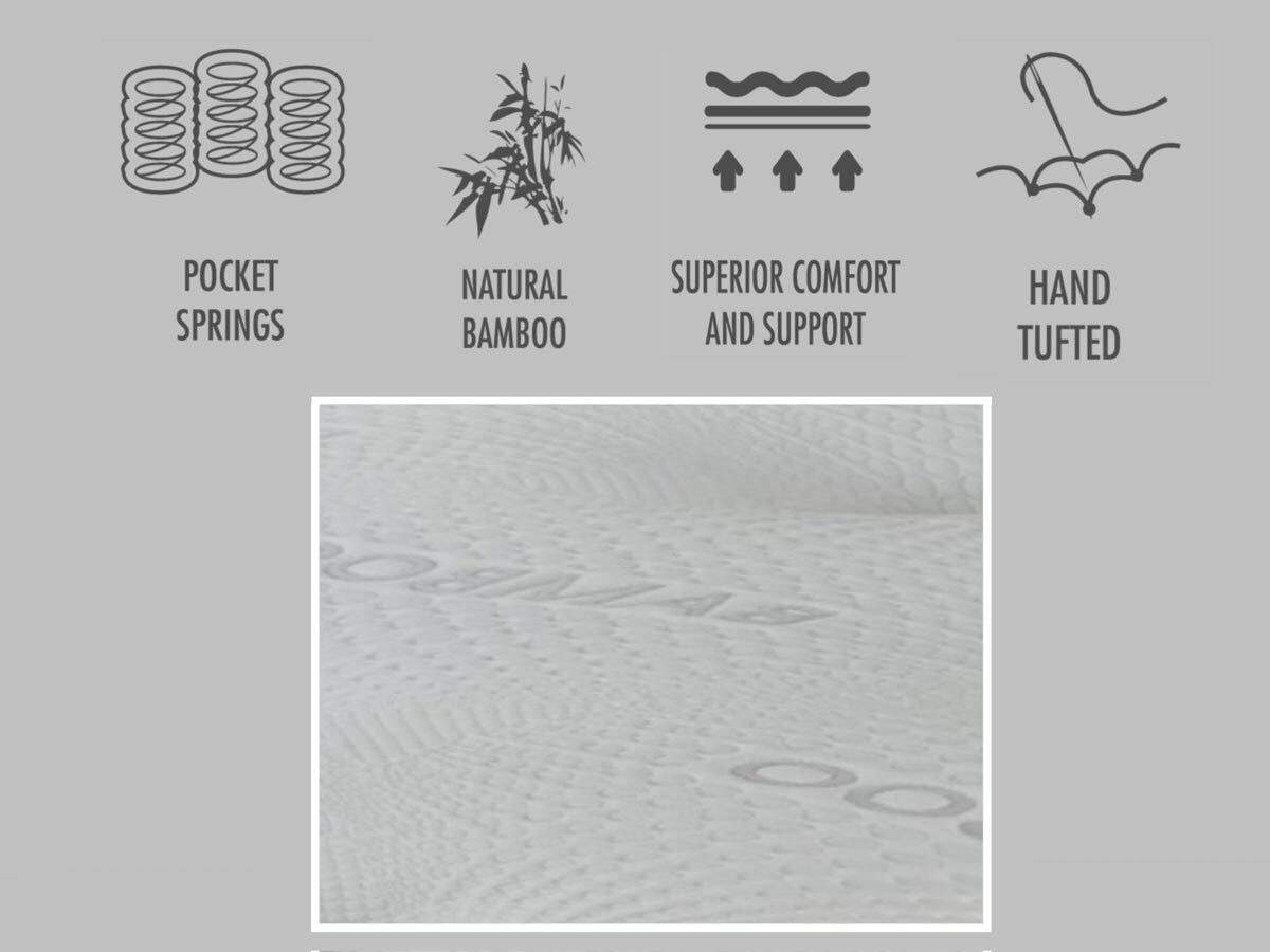 bamboo-info