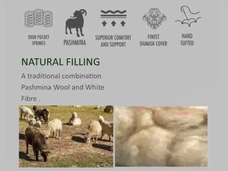 pashmina info