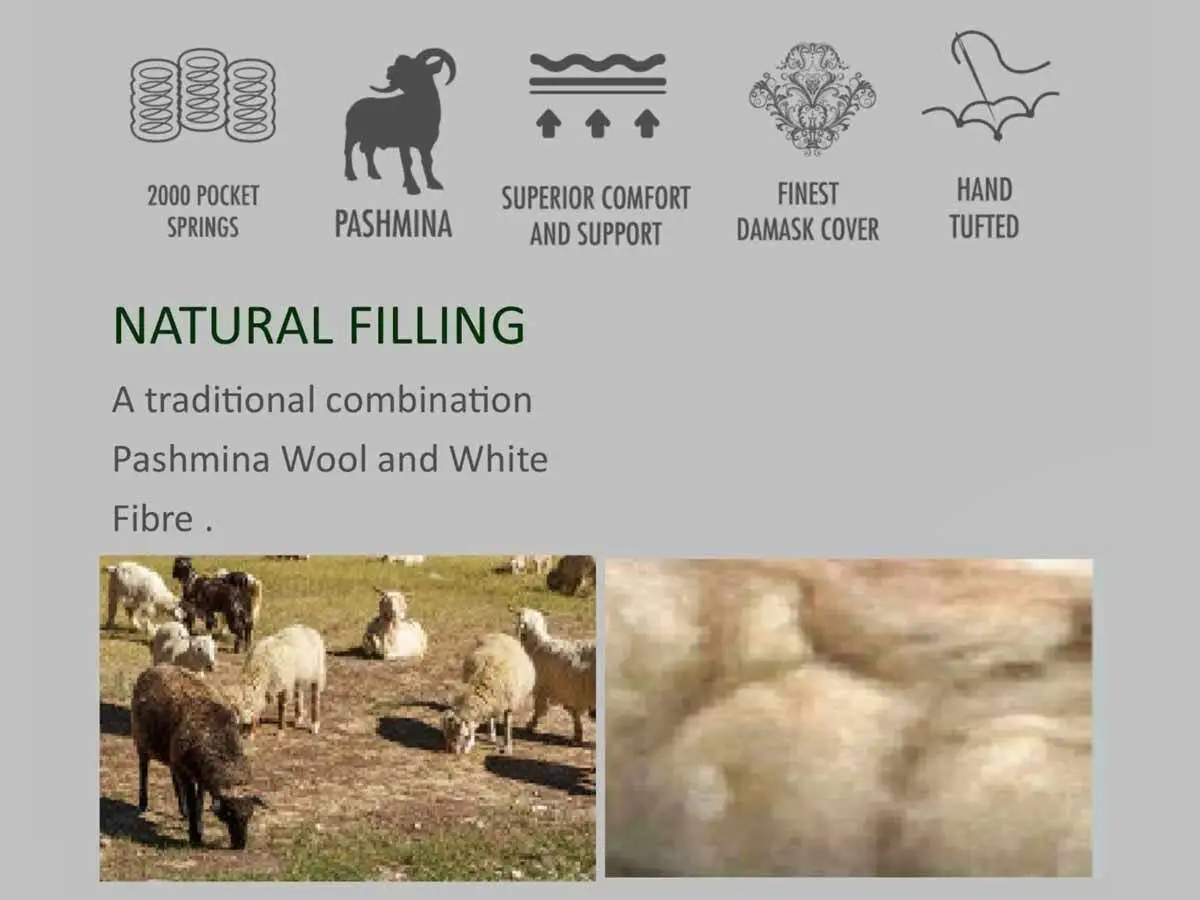 pashmina info