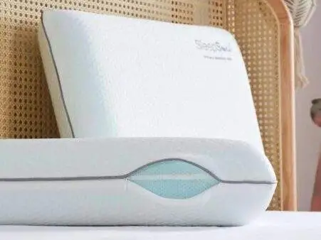 2026-dual-pillow-3