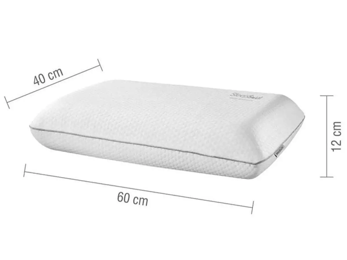 2026-dual-pillow-1