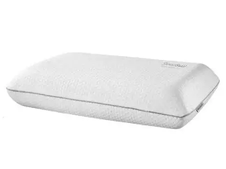 2026-dual-pillow
