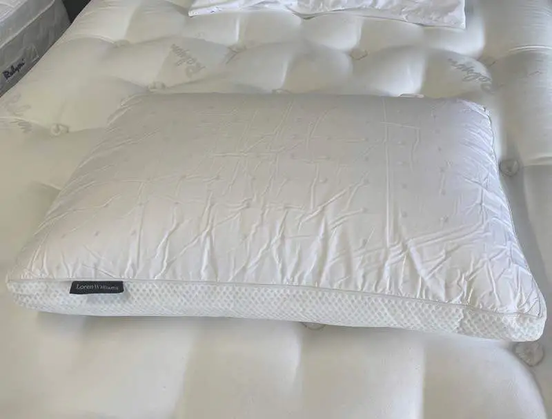 Loren Williams Latex Pocket Pillow